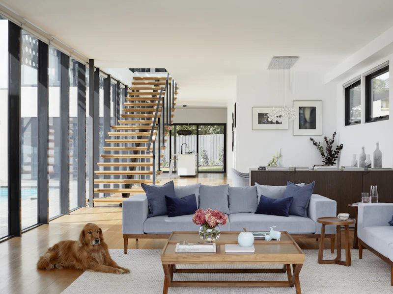 Clean, sunlit living room with a dog resting on the rug